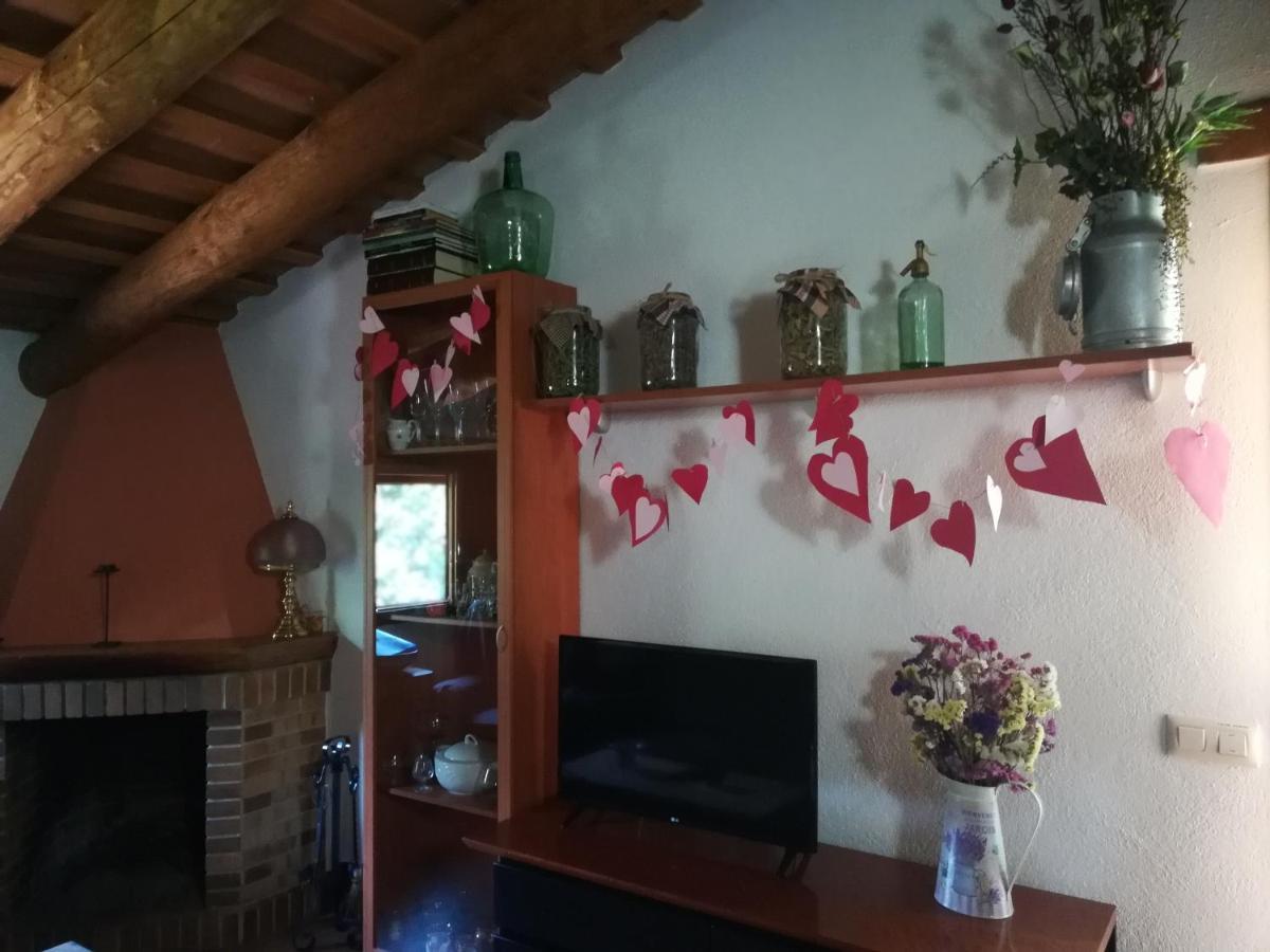 Apartamento En Pleno Montseny Mas Romeu Turisme Rural Arbúcies Exteriér fotografie