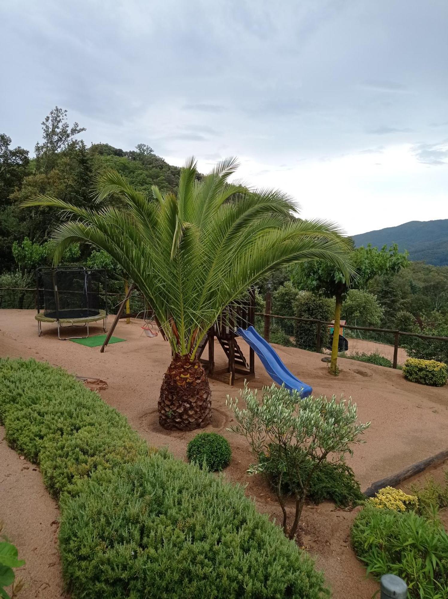 Apartamento En Pleno Montseny Mas Romeu Turisme Rural Arbúcies Exteriér fotografie