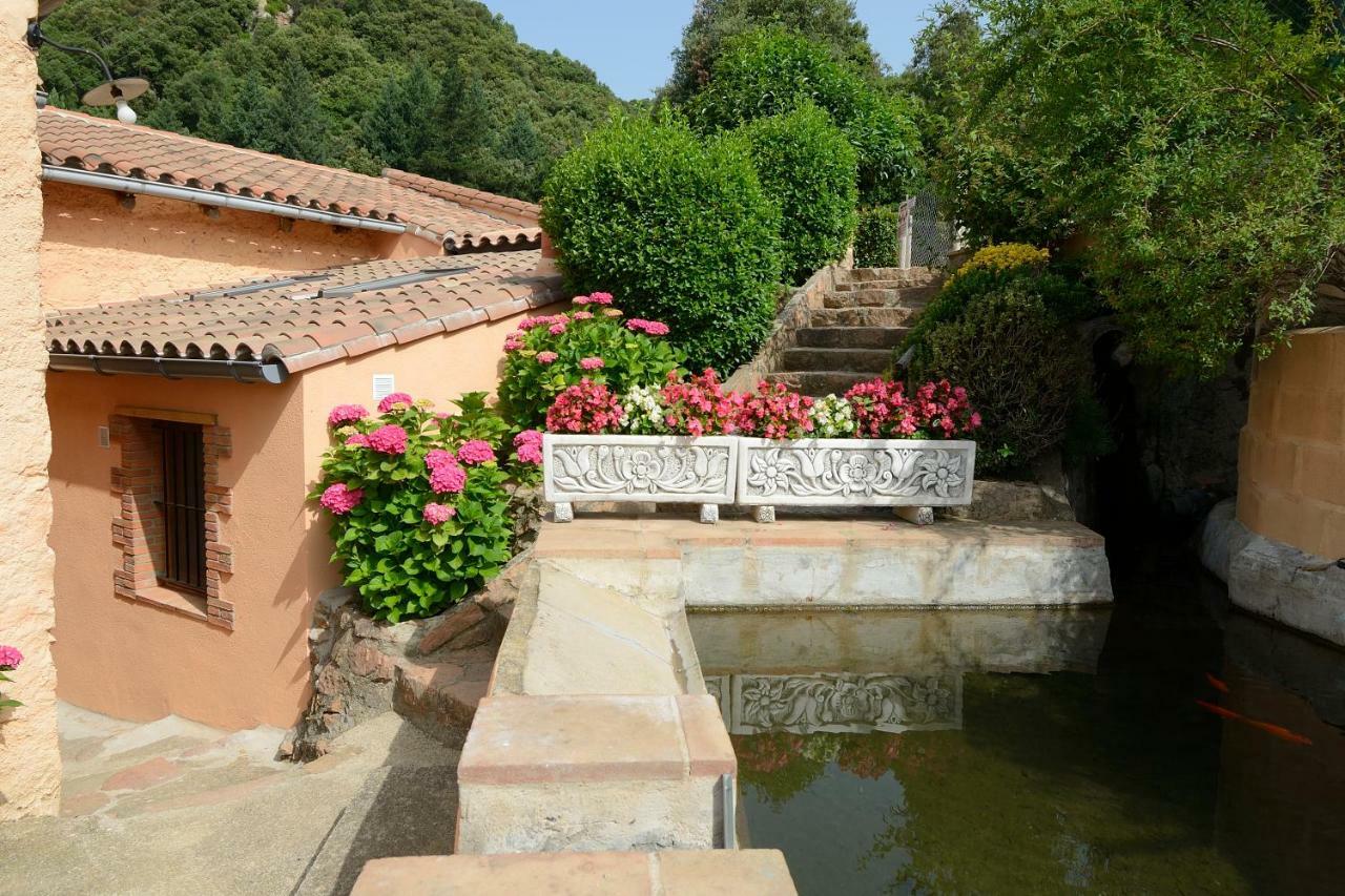 Apartamento En Pleno Montseny Mas Romeu Turisme Rural Arbúcies Exteriér fotografie