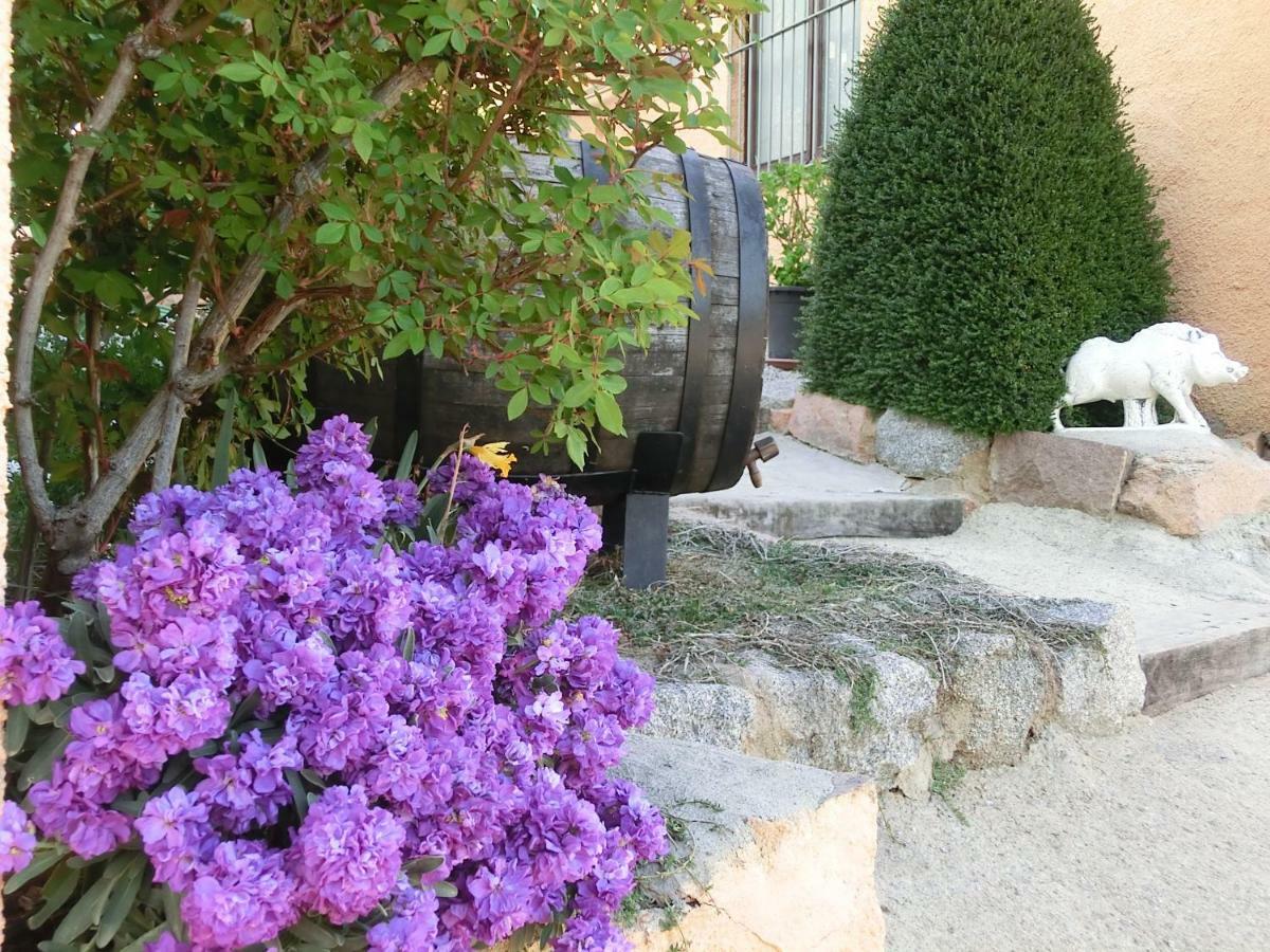 Apartamento En Pleno Montseny Mas Romeu Turisme Rural Arbúcies Exteriér fotografie