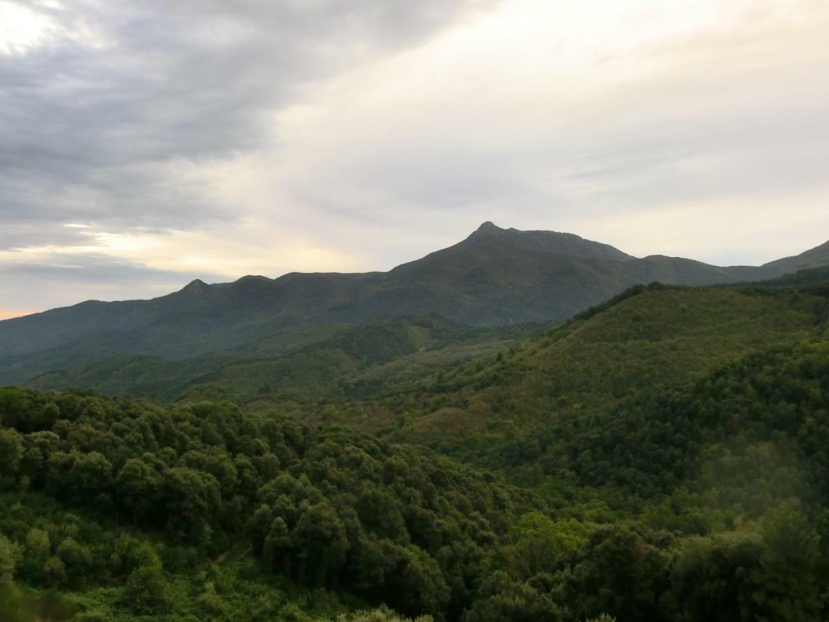 Apartamento En Pleno Montseny Mas Romeu Turisme Rural Arbúcies Exteriér fotografie
