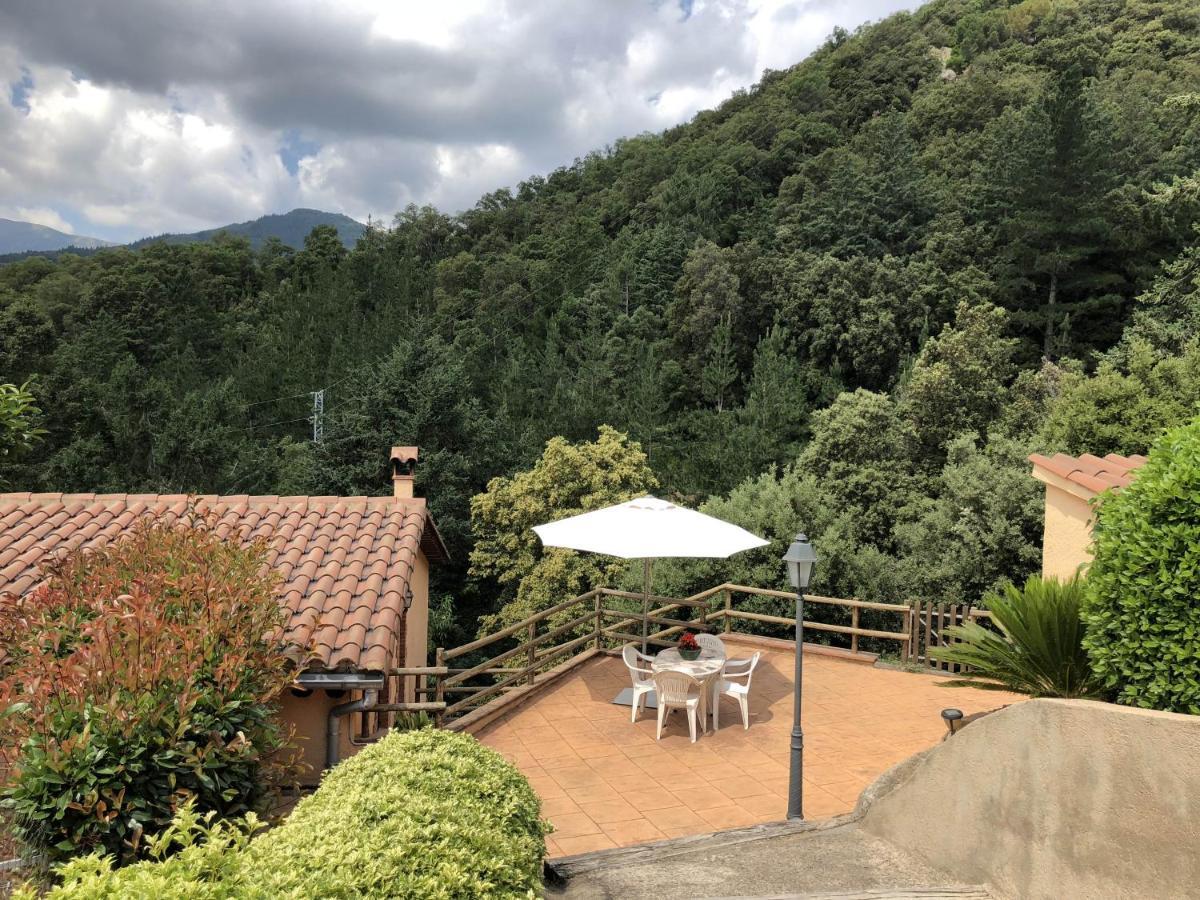 Apartamento En Pleno Montseny Mas Romeu Turisme Rural Arbúcies Exteriér fotografie